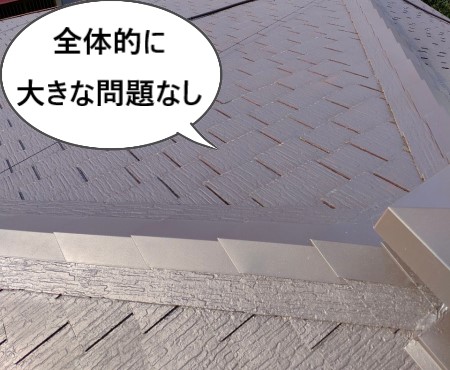 屋根点検　全体的に大きな問題なし